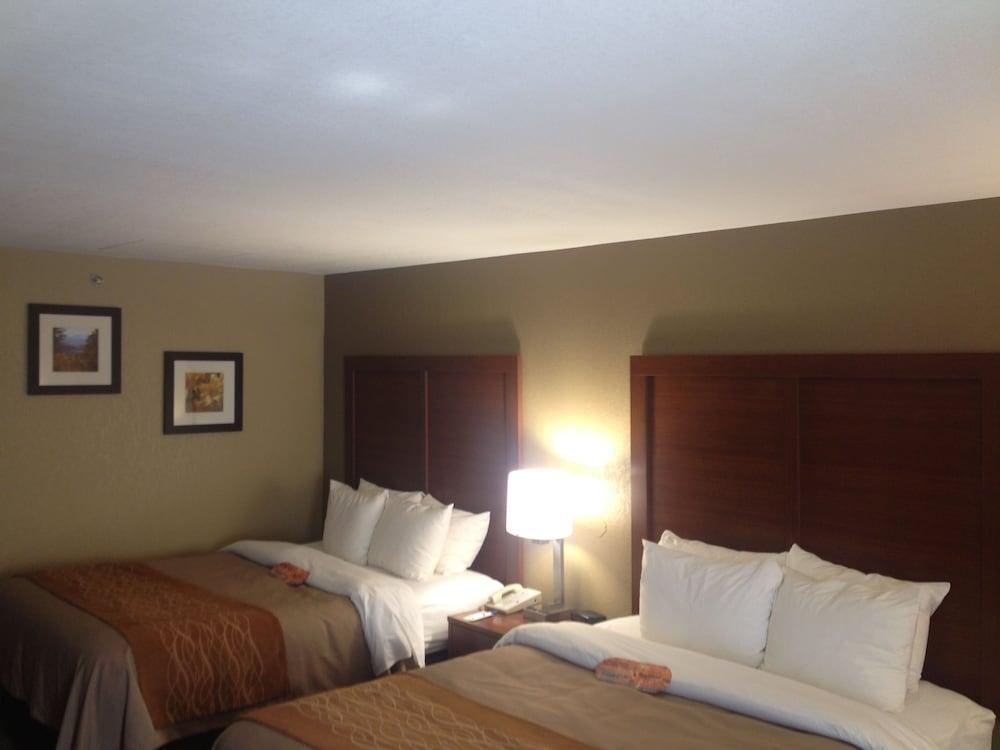 Comfort Inn Biltmore West Asheville Exterior photo